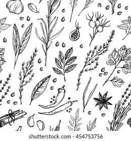 Hand drawn vintage background - herbs and spices. Vector seamless pattern. Organic drug plants. Botanical illustrations. 