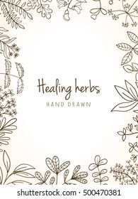 Hand drawn vintage background of medicinal organic healing herbs. Vector medical plants and herbal botanical flower elements can be used for banner template, card, flyer, banner, sale, website