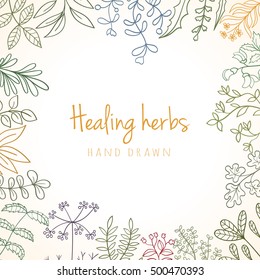 Hand drawn vintage background of medicinal organic healing herbs. Vector medical plants and herbal botanical flower elements can be used for banner template, card, flyer, banner, sale, website