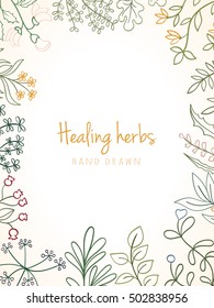Hand drawn vintage background of medicinal organic healing herbs. Vector medical plants and herbal botanical flower elements can be used for banner template, card, flyer, banner, sale, website