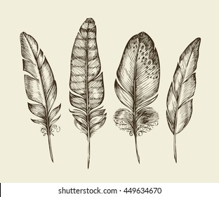 Hand drawn vintage bird feathers. Sketch writing feather. Vector illustration
