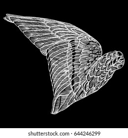 Hand drawn vintage bird wing. Sketch vector.