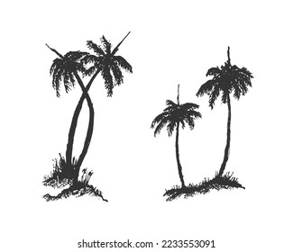 Hand drawn vintage black silhouette of palm tree vector drawing. Illustration set of coconut palm tress isolated on white background. Vector illustration trees design.