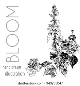 Hand drawn vintage bloom. Vector illustration. EPS 10