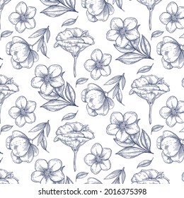 Hand drawn vintage botanical pattern