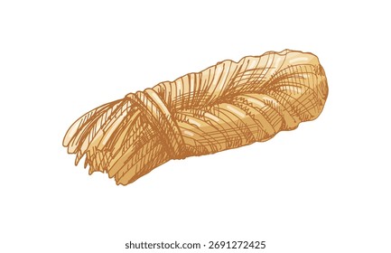 Hand drawn vintage braided cheese string in color. Realistic detailed dairy food illustration perfect for packaging, restaurant menu, or organic farm branding design.