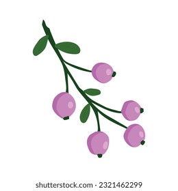 Hand drawn vintage branch with leaves and berry on a white background.