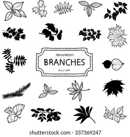 Hand drawn vintage branches vector design set.