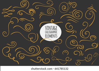 Hand drawn vintage calligraphic elements set. Floral set. Ornamental decorative elements. Vector flourish ornate elements design. Calligraphic kit.