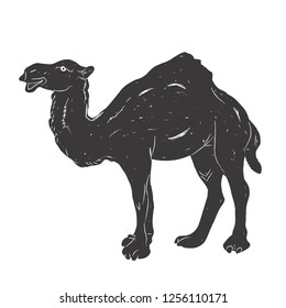 Hand drawn vintage Camel. Sketch style. Vector illustration. T-shirt print. Logo element.