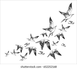 hand drawn vintage card with flying gull and place for text