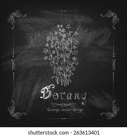 Hand drawn vintage chalkboard. Vector illustration 