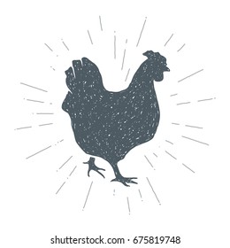 Hand drawn vintage Chicken. Sketch style. Meat. Poultry. Vector illustration. T-shirt print. Poster. Logo. Hipster. Retro badge.