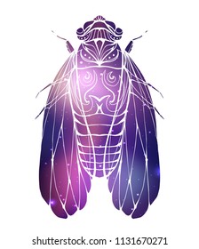 Hand drawn vintage cicada with a boho pattern and cosmic background. Insect with doodle pattern. Vector element for tattoo sketch, printing on T-shirts, postcards and your design 