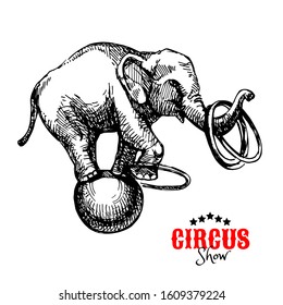 Hand drawn vintage circus sketch vector illustration