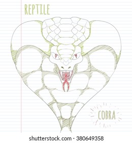 Hand drawn vintage cobra in attack snake sketch. scribble in green and yellow shades in the notebook. Sketching design element for school book, encyclopedia, prints. monochrome shapes.