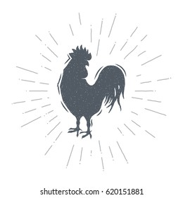 Hand drawn vintage cock. Sketch style. Vector illustration. T-shirt print. Logo element. Chicken.