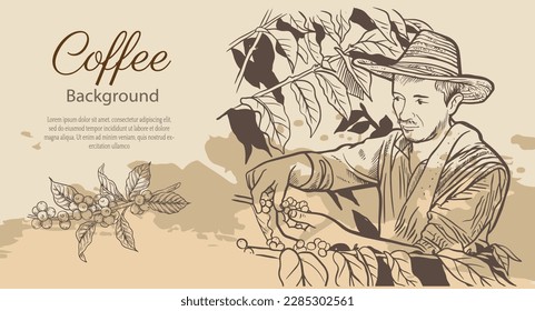 hand drawn vintage coffee background for poster, coffee packaging, coffee label, art print