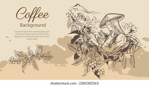 hand drawn vintage coffee background for poster, coffee packaging, coffee label, art print