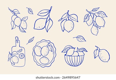 Coleção vintage desenhada à mão de ilustrações de limão. Desenhos vetoriais de citrinos retrô e elementos gráficos em estilo italiano La Dolce Vita.