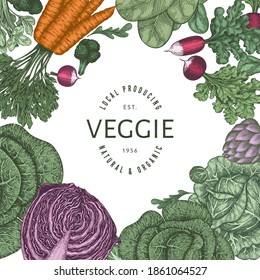 Hand drawn vintage color vegetables design. Organic fresh food vector banner template. Retro vegetable background. Traditional botanical illustrations.