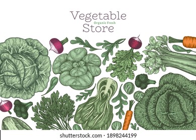 Hand drawn vintage color vegetables design. Organic fresh food vector banner template. Retro vegetable background. Traditional botanical illustrations.