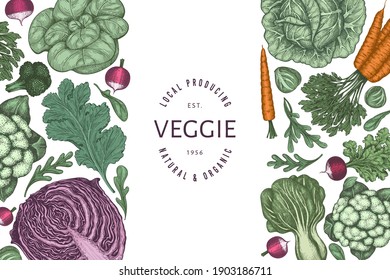 Hand drawn vintage color vegetables design. Organic fresh food vector banner template. Retro vegetable background. Traditional botanical illustrations.