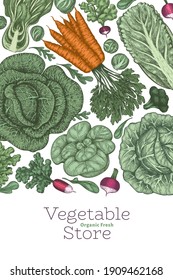 Hand drawn vintage color vegetables design. Organic fresh food vector banner template. Retro vegetable background. Traditional botanical illustrations.