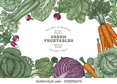 Hand drawn vintage color vegetables design. Organic fresh food vector banner template. Retro vegetable background. Traditional botanical illustrations.