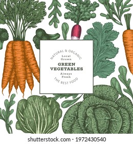 Hand drawn vintage color vegetables design. Organic fresh food vector banner template. Retro vegetable background. Traditional botanical illustrations.