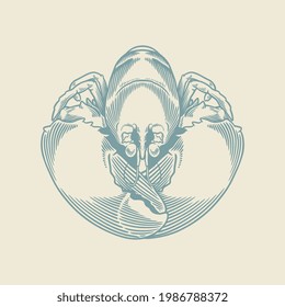 Hand drawn of vintage crab. Sketch of cute crab isolated on white background.