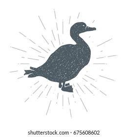 Hand drawn vintage Duck. Sketch style. Vector illustration. T-shirt print. Poster. Logo. 