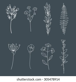 Hand drawn vintage elegant floral elements. Flowers and plants.