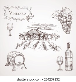 Hand drawn vintage engraving stylized vine set vector illustration