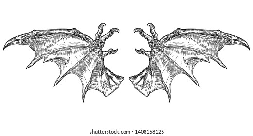 Hand drawn vintage etched woodcut fallen angel or vampire detailed wings. Dragon or gargoyle wings. Heraldic wings for tattoo and mascot design. Isolated sketch collection. Vector.