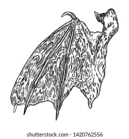 Hand drawn vintage etched woodcut fallen angel or vampire detailed wings. Dragon or gargoyle wings. Heraldic wings for tattoo and mascot design. Isolated sketch collection. Vector.