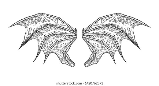 Hand drawn vintage etched woodcut fallen angel or vampire detailed wings. Dragon or gargoyle wings. Heraldic wings for tattoo and mascot design. Isolated sketch collection. Vector.