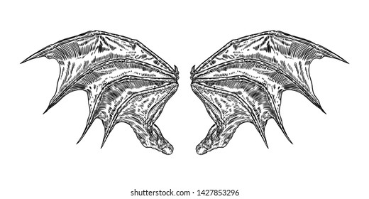 Hand drawn vintage etched woodcut fallen angel or vampire detailed wings. Dragon or gargoyle wings. Heraldic wings for tattoo and mascot design. Isolated sketch collection. Vector.