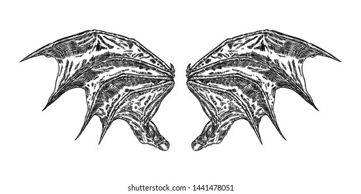 Hand drawn vintage etched woodcut fallen angel or vampire detailed wings. Dragon or gargoyle wings. Heraldic wings for tattoo and mascot design. Isolated sketch collection. Vector.