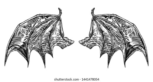 Hand drawn vintage etched woodcut fallen angel or vampire detailed wings. Dragon or gargoyle wings. Heraldic wings for tattoo and mascot design. Isolated sketch collection. Vector.