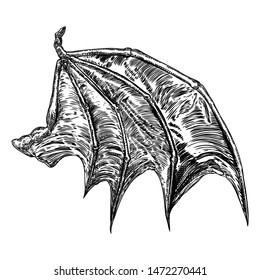 Hand drawn vintage etched woodcut fallen angel or vampire detailed wings. Dragon or gargoyle wings. Heraldic wings for tattoo and mascot design. Isolated sketch collection. Vector.