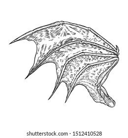 Hand drawn vintage etched woodcut fallen angel or vampire detailed wings. Dragon or gargoyle wings. Heraldic wings for tattoo and mascot design. Isolated sketch collection. Vector.
