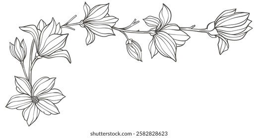 Hand drawn vintage floral corners. Trendy greenery elements for frame in line art style. Vector illustration