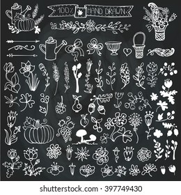 Hand Drawn vintage floral decorative elements. Set of flowers, arrow, fruits,berries.Doodle rustic vector.Easy to make design templates,invitations card,logo,cafe menu.Chalkboard