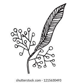 Hand Drawn vintage floral element, decorative plant for design background, patterns, greeting cards, scrapbooking, etc