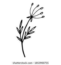 Hand Drawn vintage floral element. Cover Highlight Icon. Decoration element for design invitation, wedding cards, valentines day.