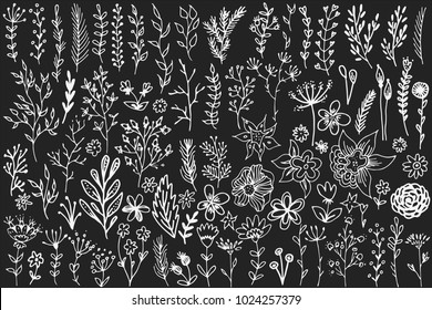 Hand drawn vintage floral elements