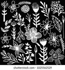Hand drawn vintage floral elements