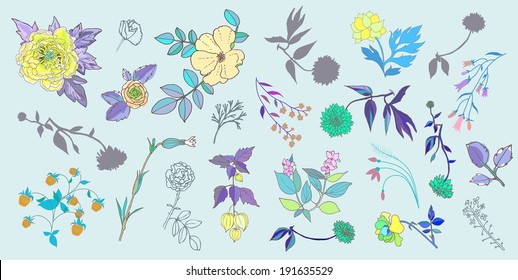 Hand Drawn vintage floral elements. Set of flowers.