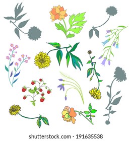 Hand Drawn vintage floral elements. Set of flowers.